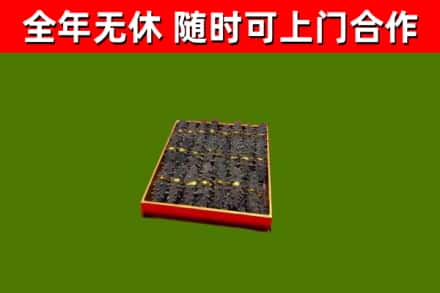 阜宁回收海参